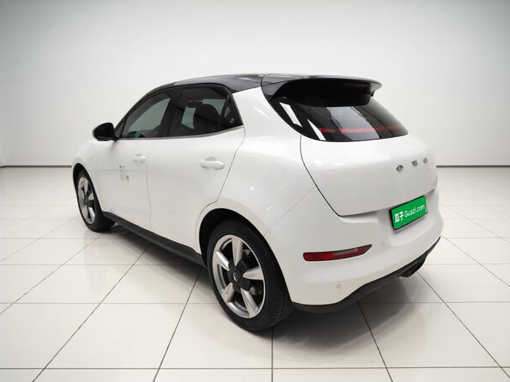 Good Cat 2021 400km Standard Range LFP photo 4