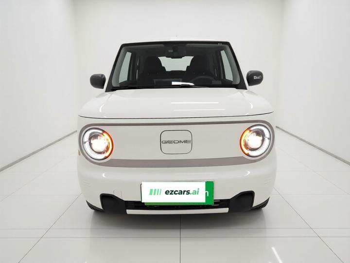 2023 Panda mini 200km Endurance Bear photo 2