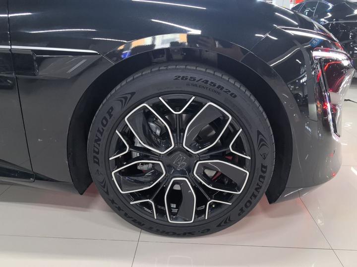 12 2026 Facelift Max EV photo 3