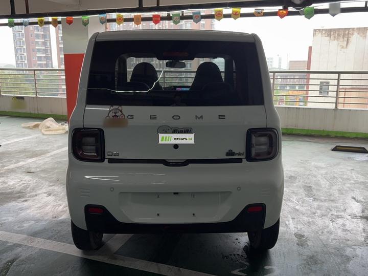 2023 Panda mini 200km Endurance Bear photo 3