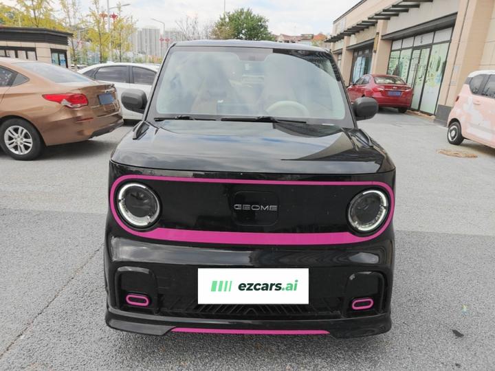 2024 200km Panda photo 2
