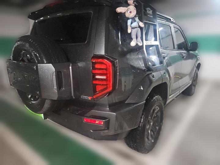 400 EV 2024 Hi4-T Off-road photo 4
