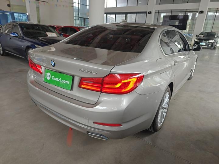 5 Series 2020 530Li Leading Luxury photo 4