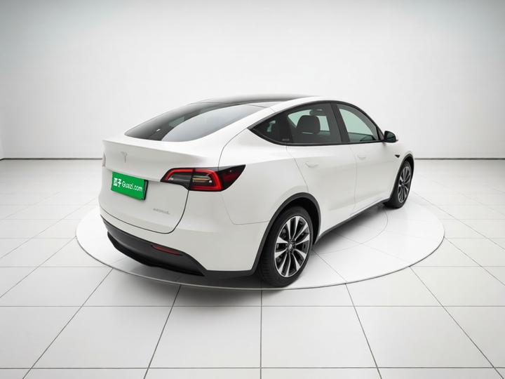 Model Y 2021 Standard Range RWD photo 6