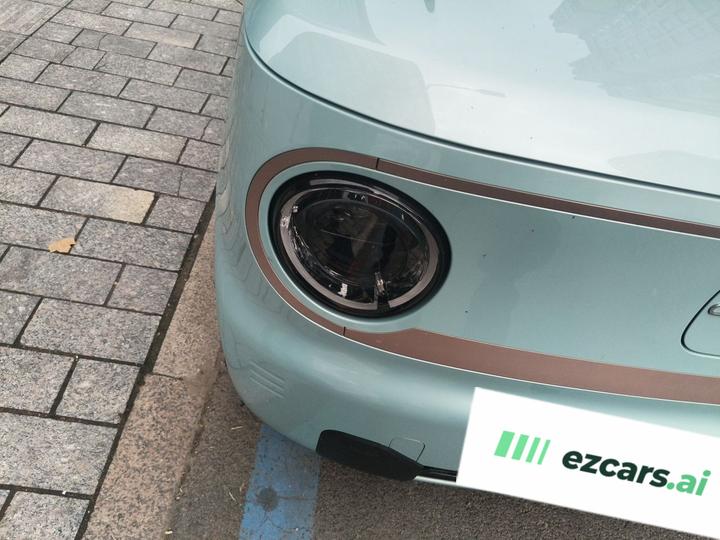 2024 Panda mini 200km Endurance Bear photo 7