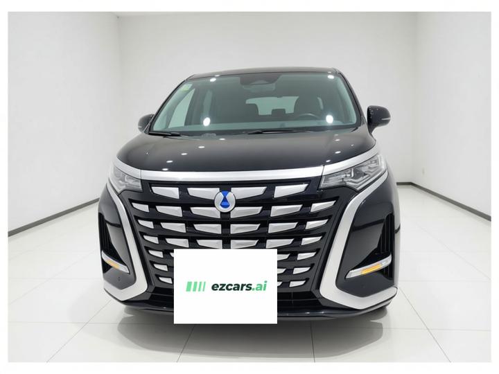 D9 2022 DM-i 970 AWD Noble photo 2