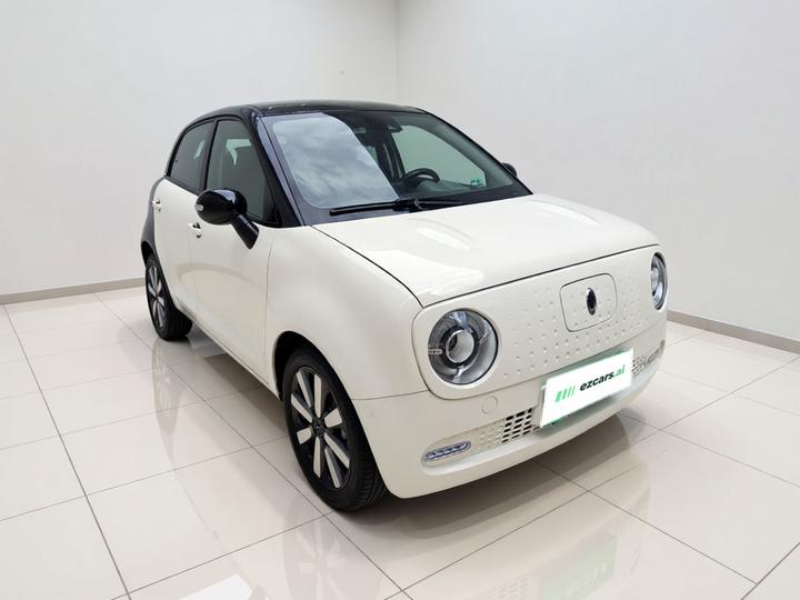 2021 351km Luxury photo 3