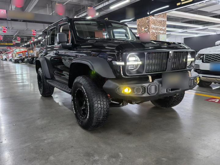 300 2021 Off-road 2.0T Conqueror photo 2