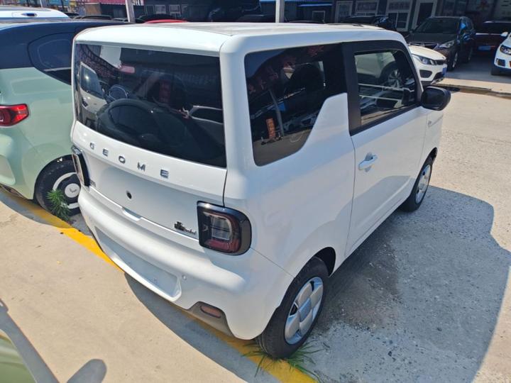 2024 Panda mini 200km Endurance Bear photo 4