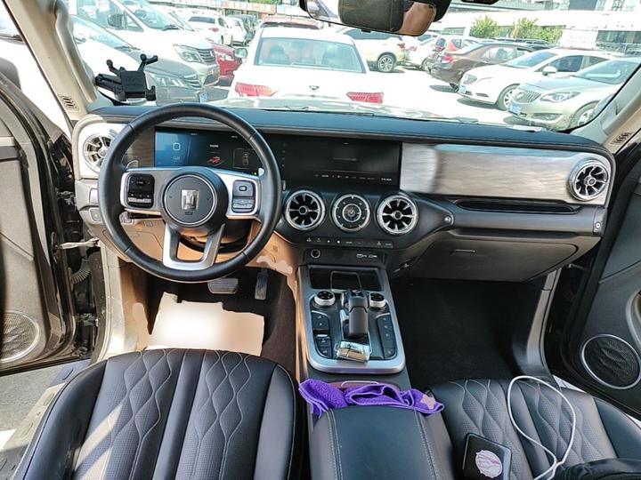 300 2023 Off-road 2.0T photo 5