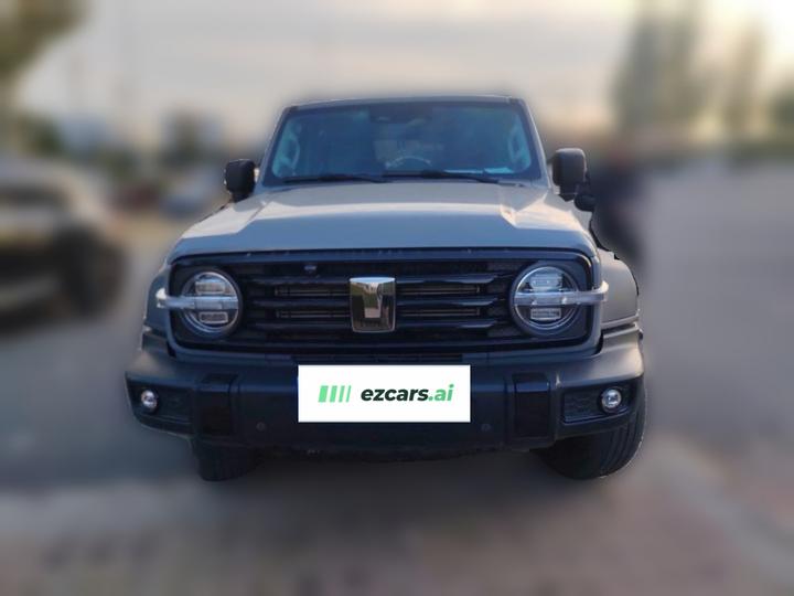 300 2021 Off-road 2.0T photo 2