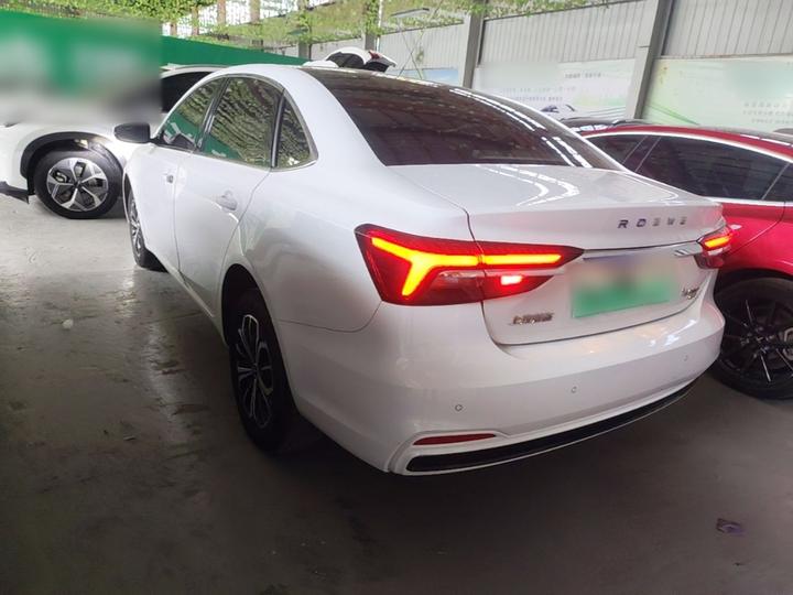 i6 MAX EV 2021 EV 500 Exclusive photo 4