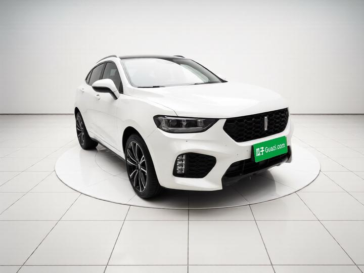 VV5 2019 Upgraded 2.0T RWD Flagship China V photo 3