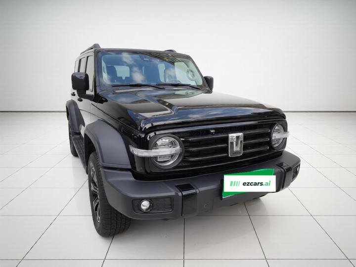 300 2021 Off-road 2.0T Conqueror photo 3