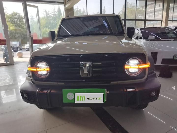 300 2025 2.0T Petrol Conqueror photo 2
