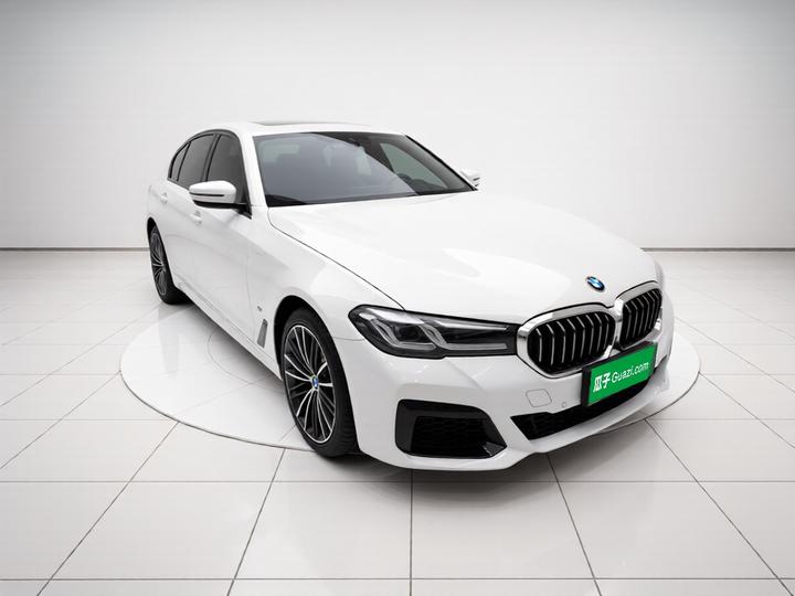 5 Series 2021 530Li Leading M Sport Package photo 3