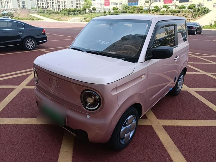 2024 Panda mini 200km Endurance Bear