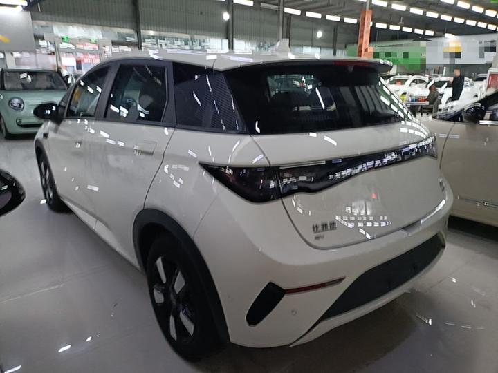 Dolphin 2025 ADAS 410km Fashion photo 4