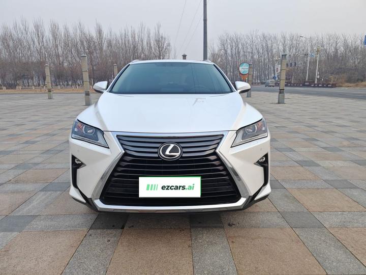 RX 2016 300 RWD Elite China V photo 2