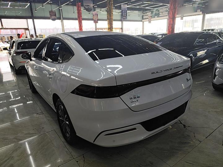 Qin PLUS 2024 Honor DM-i 55KM Leading photo 4