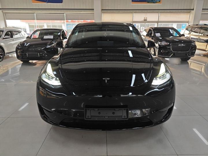Model Y 2023 Long Range AWD photo 2