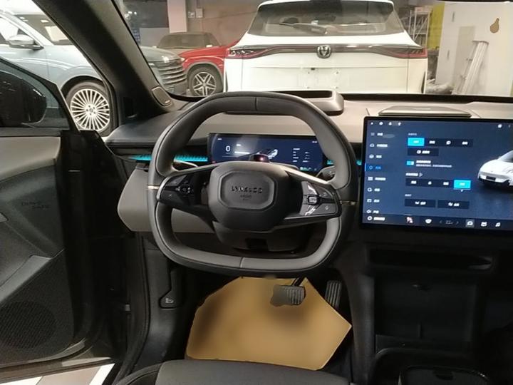 Z20 2025 530km RWD Max photo 6
