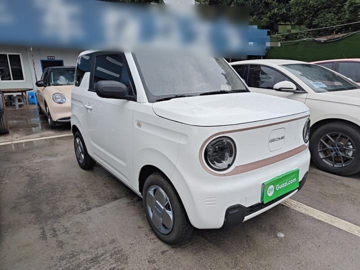 2023 Panda mini 200km Endurance Bear photo 3