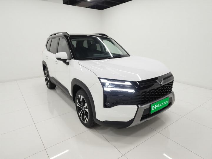 560 EV 2026 125km Luxury photo 3