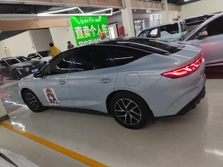 Qin L 2024 DM-i 120KM Leading photo 3
