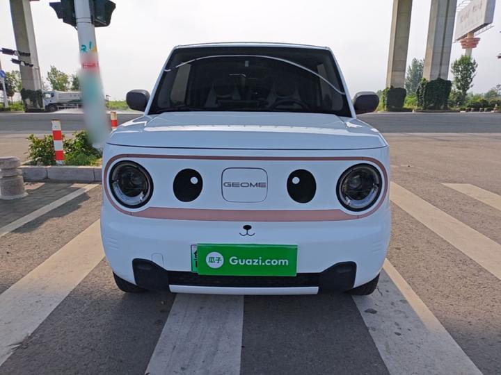 2024 Panda mini 200km Endurance Bear photo 2