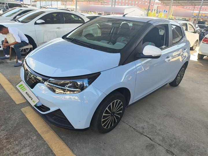 EV EV2 2024 201km Comfort