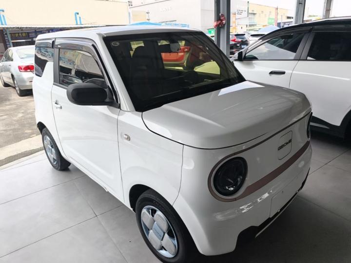 2023 Panda mini 200km Endurance Bear photo 3