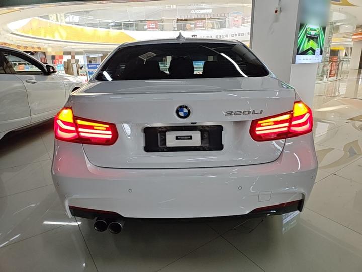 3 Series 2019 320Li M Luxury photo 3
