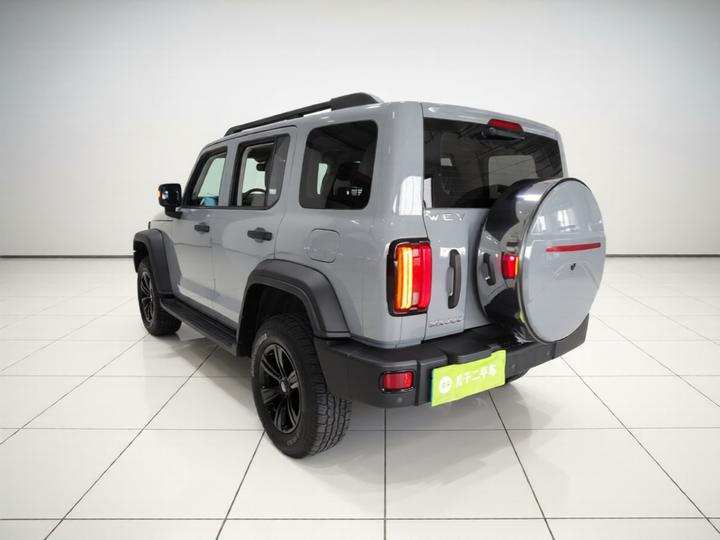 300 2021 Off-road 2.0T Conqueror photo 4