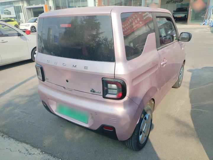 2024 Panda mini 200km Endurance Bear photo 4