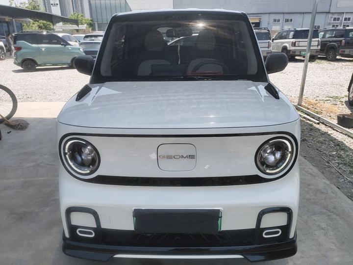 2024 200km Panda photo 2