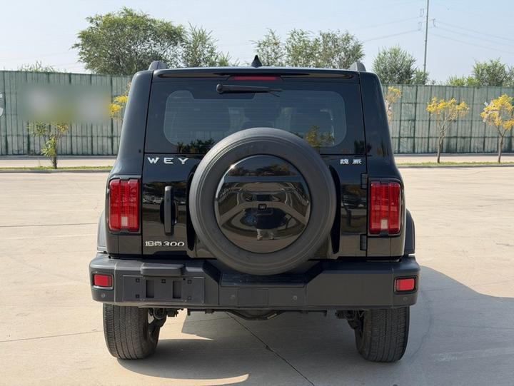 300 2021 Off-road 2.0T photo 5