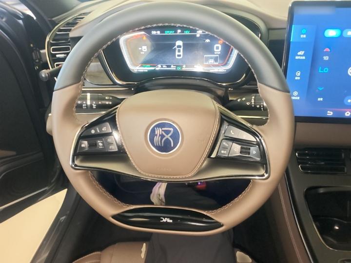 Han 2020 DM AWD Performance Premium photo 6