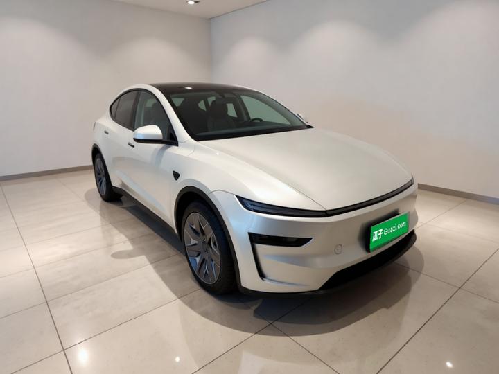 Model Y L 2025 Long Range AWD photo 3