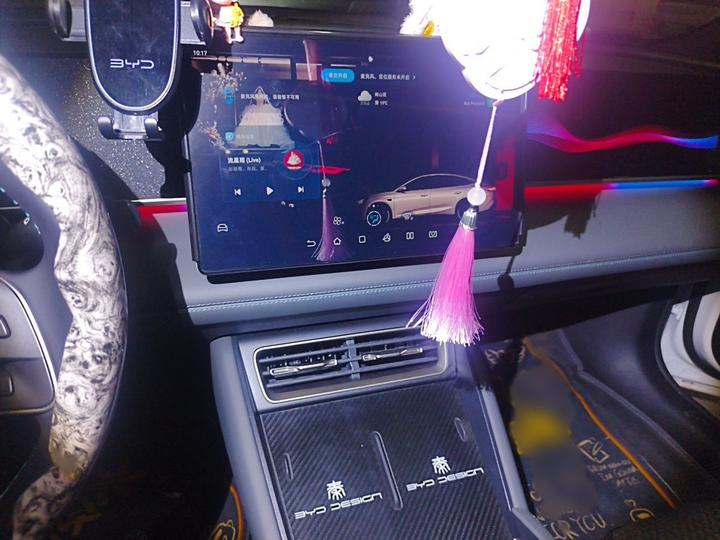 Qin L 2024 DM-i 80KM photo 5