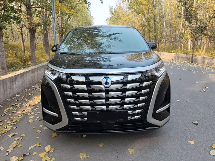 D9 2022 DM-i 970 AWD Noble photo 2