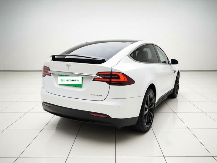 Model X 2019 Performance Performance photo 6