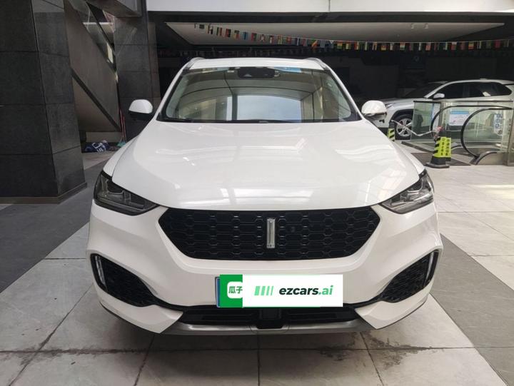 VV6 2019 2.0T RWD China VI photo 2