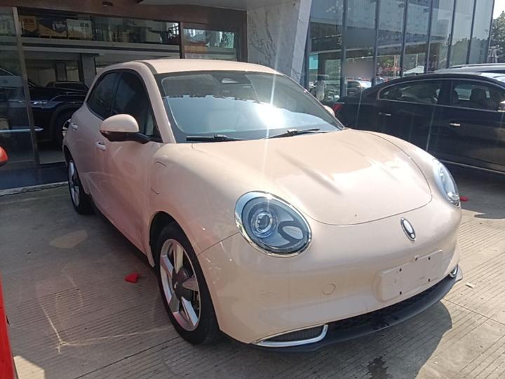 Good Cat 2023 401km Standard Range Luxury LFP photo 3