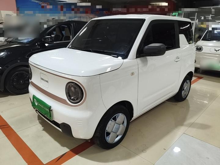 2024 Panda mini 200km Endurance Bear