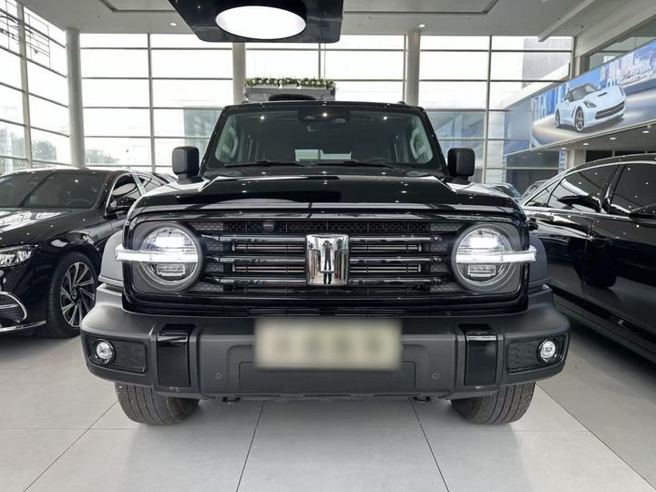 300 2025 2.0T Petrol Conqueror photo 2