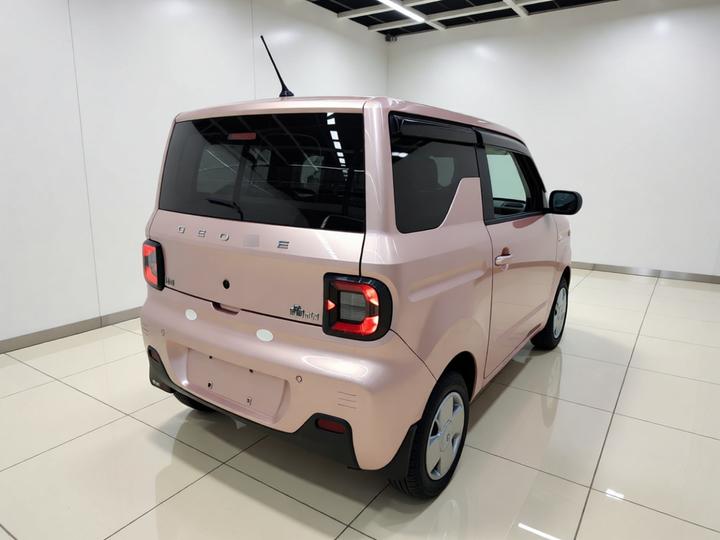 2023 Panda mini 200km Endurance Bear photo 6