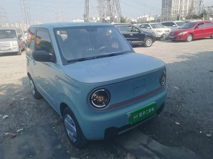 2023 Panda mini 200km Endurance Bear photo 3