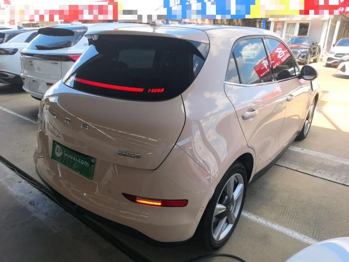 Good Cat 2021 400km Standard Range LFP photo 4