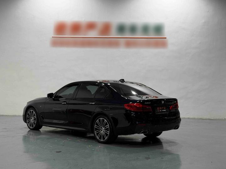 5 Series 2018 530Li Leading M Sport Package photo 4